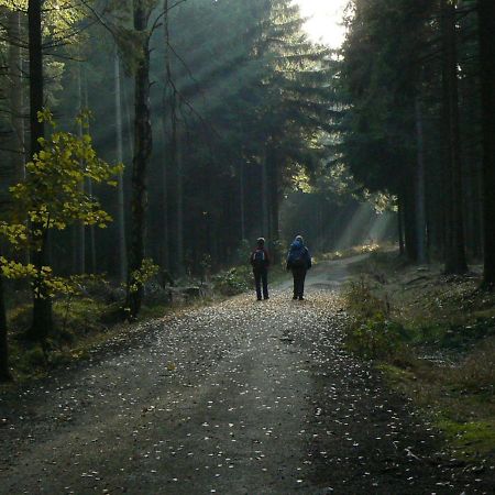 Zimmervermietung-Heide-Fiege Hartmannsdorf bei Chemnitz Dış mekan fotoğraf